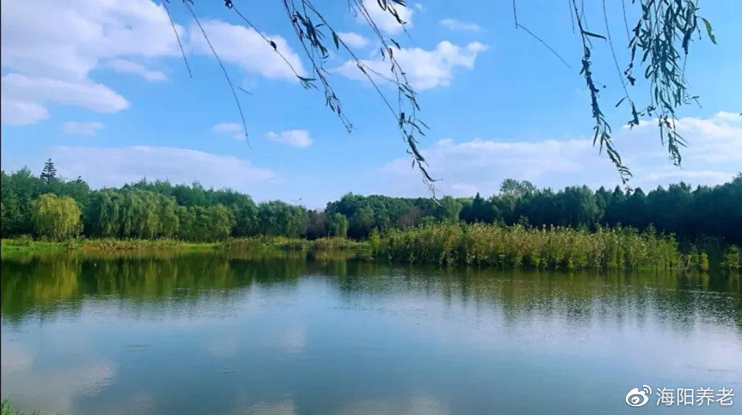 ▲南湖湿地公园